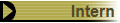 Intern